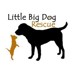 little big dog rescue logo Monterey Virginia