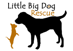 Little Big Dog Rescue Logo