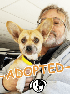 Bently was Adopted